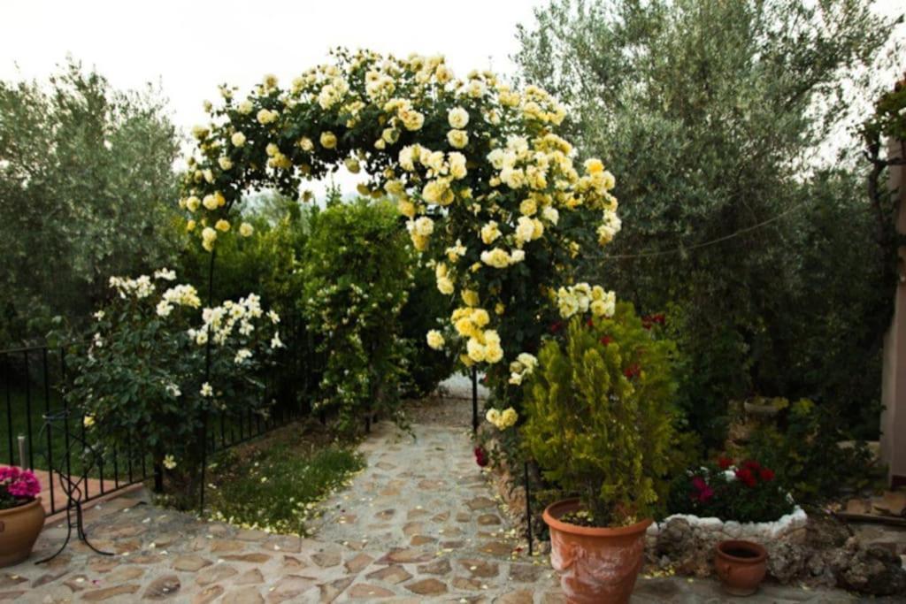 Cazorla-Alcon, Casa Hoya Don Gaspar Pozo Alcón Buitenkant foto