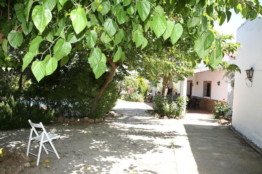 Cazorla-Alcon, Casa Hoya Don Gaspar Pozo Alcón Buitenkant foto